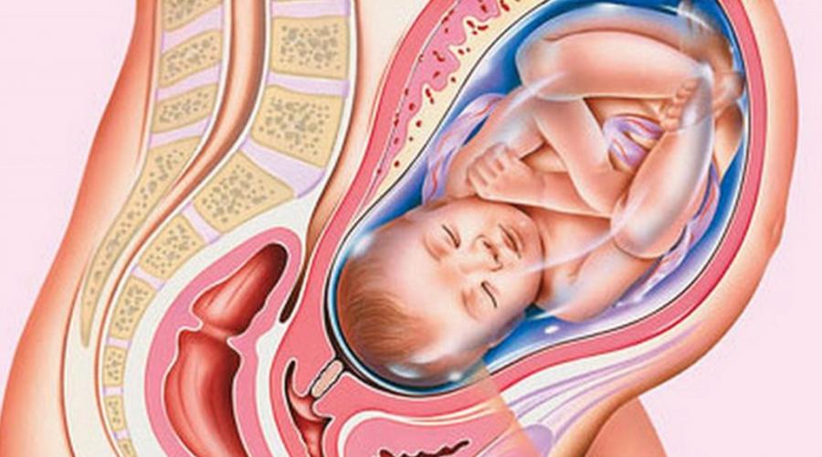 Двойняшки беременность: причины, признаки, роды и протекание беременности. Беременность двойней: от первых признаков до родов Двойня рожденная в 30 недель
