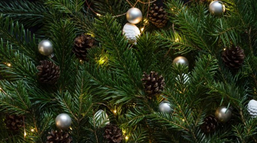 Πώς να διακοσμήσετε ένα χριστουγεννιάτικο δέντρο (65 φωτογραφίες): ασυνήθιστο και παραδοσιακό σχέδιο.  Πώς να στολίσετε ένα χριστουγεννιάτικο δέντρο για το νέο έτος Πώς να στολίσετε ένα χριστουγεννιάτικο δέντρο χωρίς πούλιες