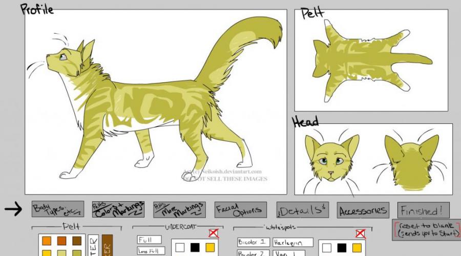 Jeux pour filles pour créer un chat.  Comment créer un profil de personnage de chat guerrier.  Créateur de chaton par Kamirah